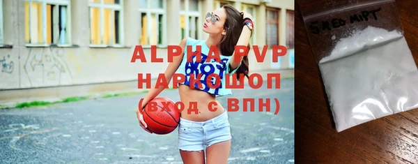 ГАЛЛЮЦИНОГЕННЫЕ ГРИБЫ Новозыбков