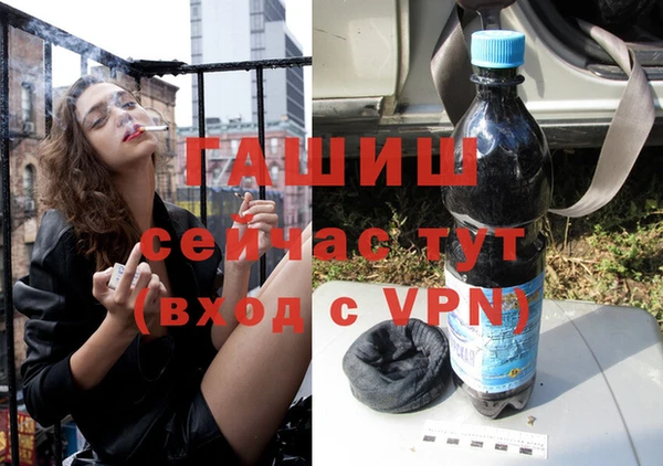 шишки Новодвинск
