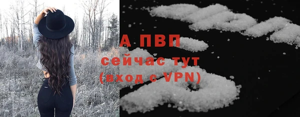 ГАЛЛЮЦИНОГЕННЫЕ ГРИБЫ Новозыбков