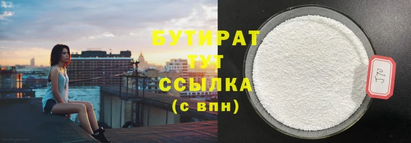 шишки Новодвинск
