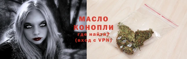 шишки Новодвинск
