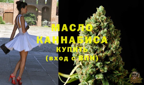 шишки Новодвинск