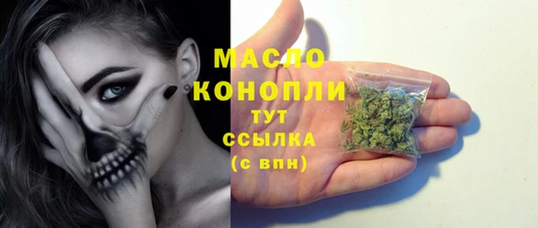 шишки Новодвинск