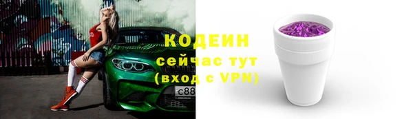 ГАЛЛЮЦИНОГЕННЫЕ ГРИБЫ Новозыбков