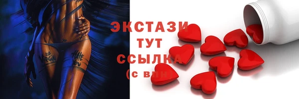 шишки Новодвинск