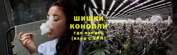 шишки Новодвинск