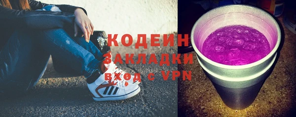 ГАЛЛЮЦИНОГЕННЫЕ ГРИБЫ Новозыбков