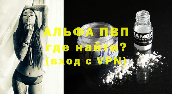 шишки Новодвинск