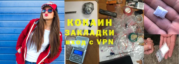 шишки Новодвинск