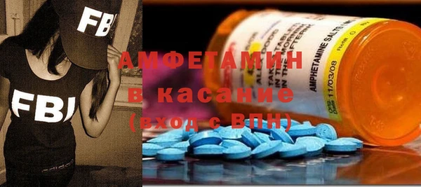 шишки Новодвинск