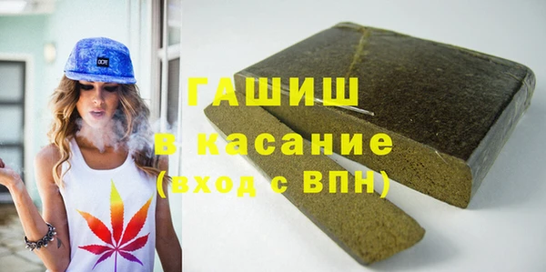 шишки Новодвинск