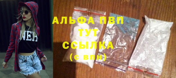 ГАЛЛЮЦИНОГЕННЫЕ ГРИБЫ Новозыбков