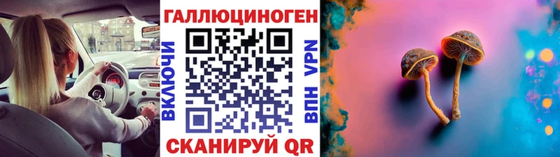где продают   Усть-Лабинск  Псилоцибиновые грибы прущие грибы 