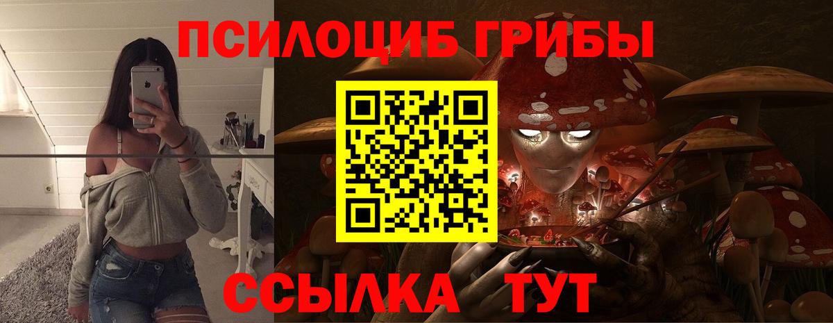 Псилоцибиновые грибы MAGIC MUSHROOMS  наркота  Усть-Лабинск  Вход с VPN 